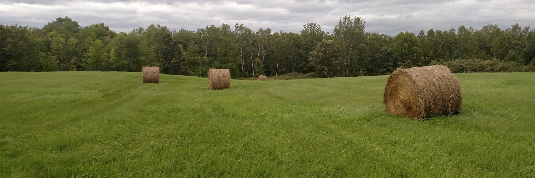 HappyHillsMN's profile banner image