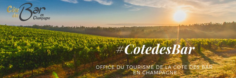 Côte des Bar en Champagne banner