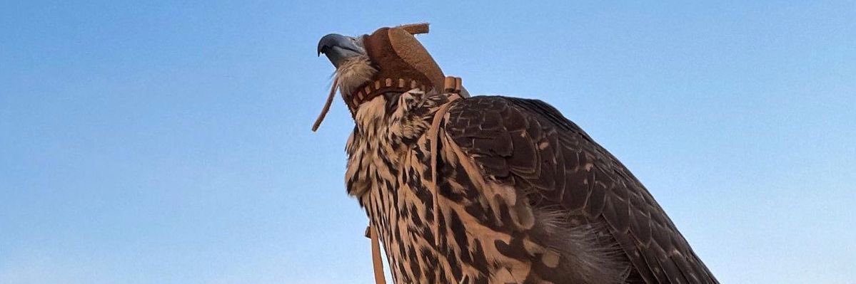 SAlwaked1's profile banner image