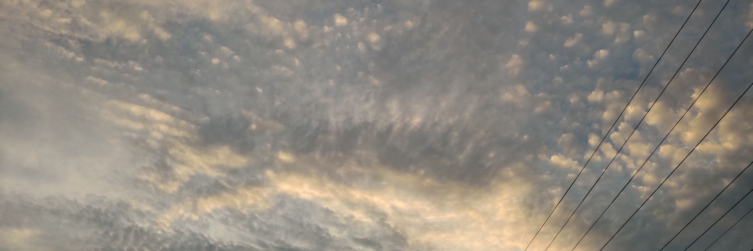 Professor Mittens banner