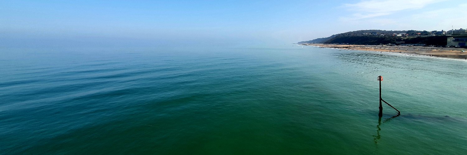 John Williams banner