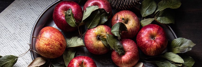 DanielaTornato's profile banner image
