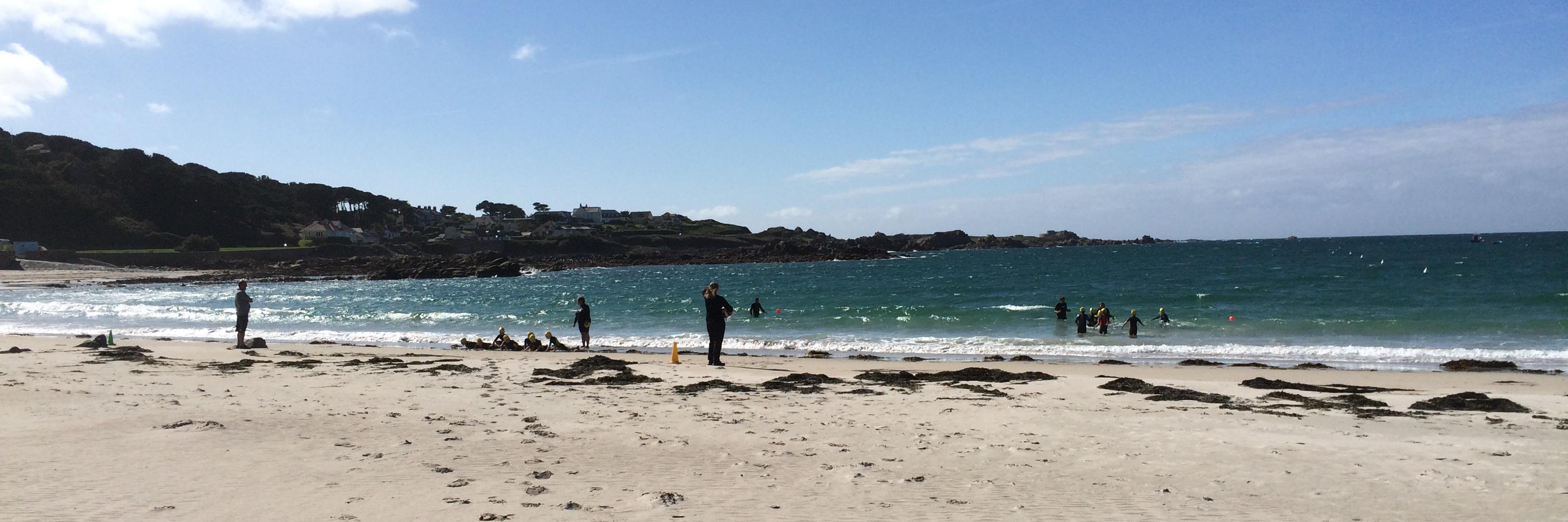 La Mare Primary banner