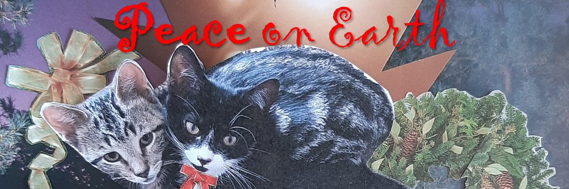 ESchilling5's profile banner image