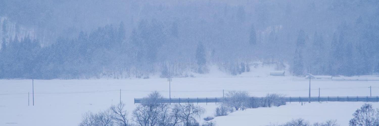 snow641's profile banner image