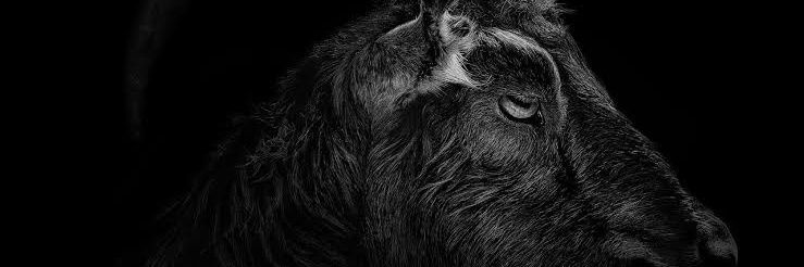 arthurguima's profile banner image