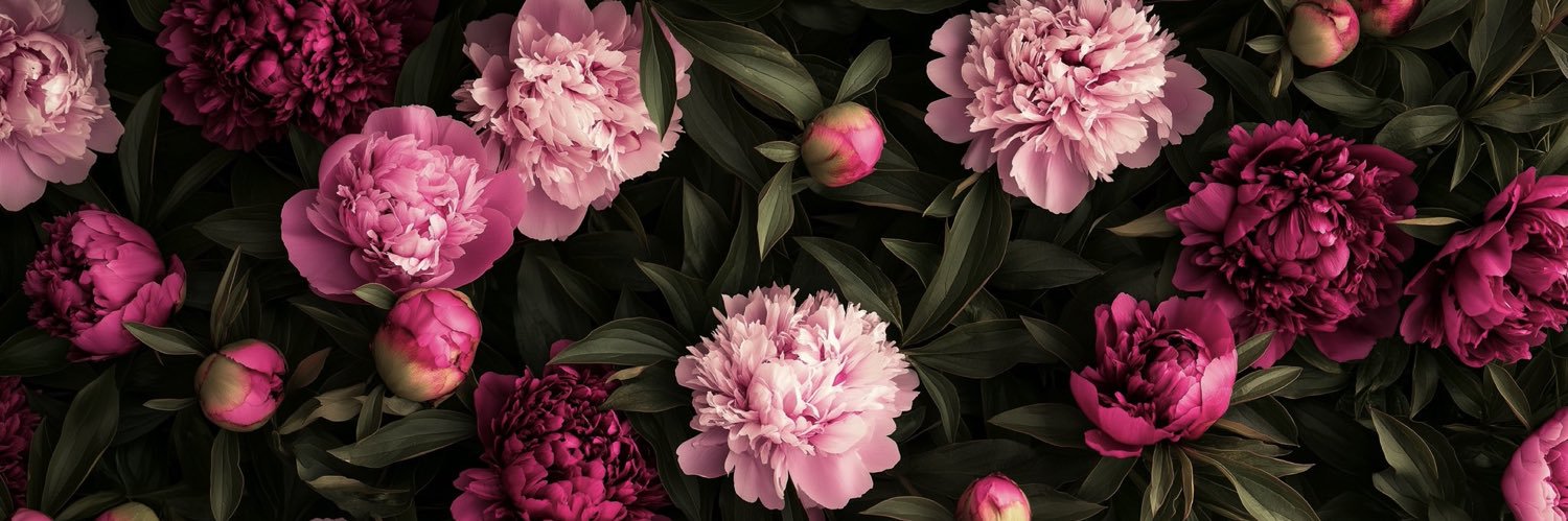 crocus_76's profile banner image