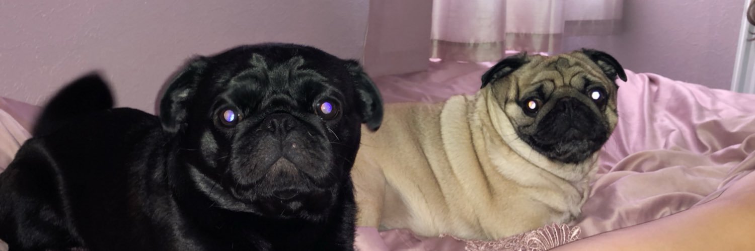 Amber_Hammond_'s profile banner image