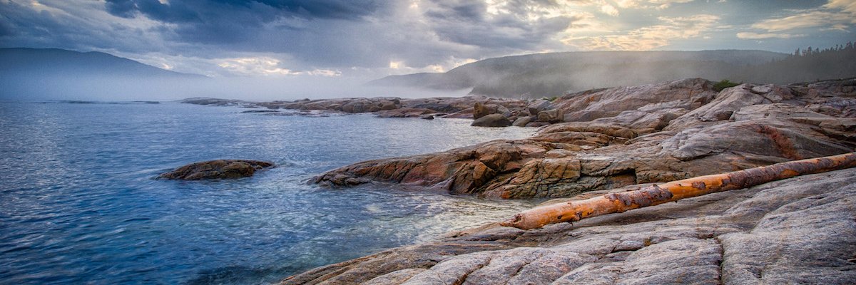 PhoenixFpv's profile banner image