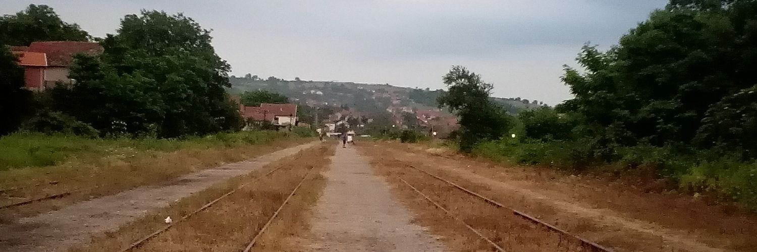 vicarad's profile banner image