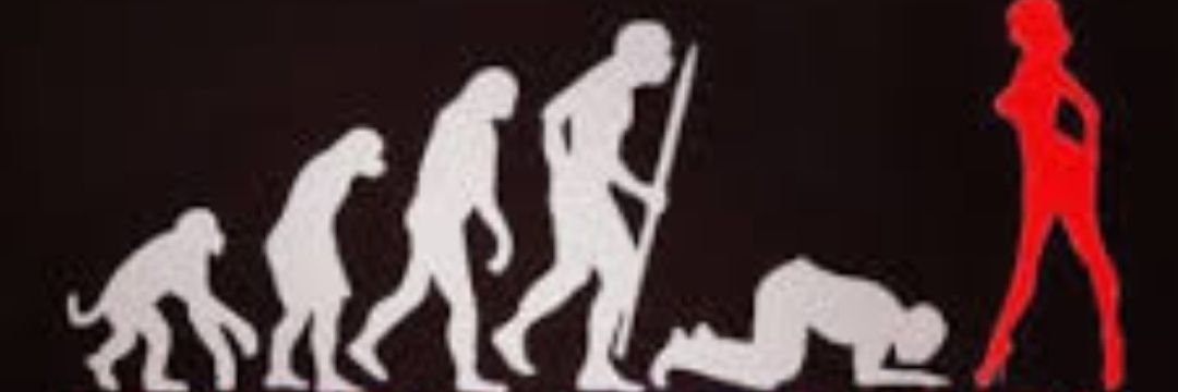 Johnny_Cuck's profile banner image