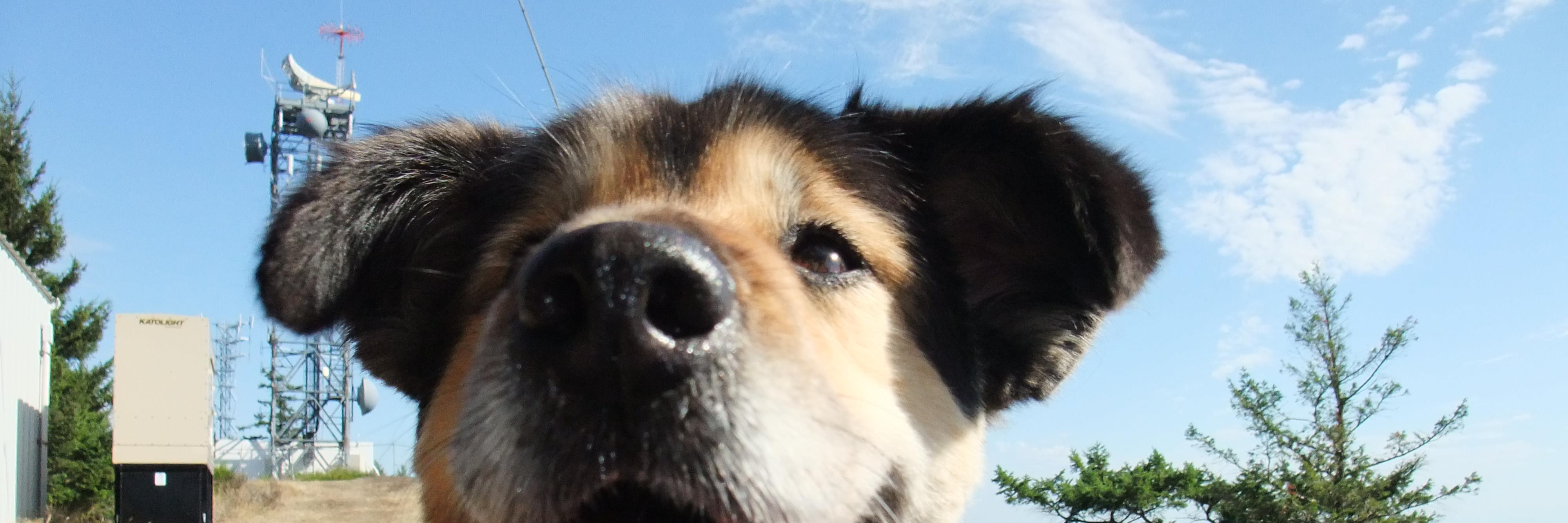 joshpacific's profile banner image