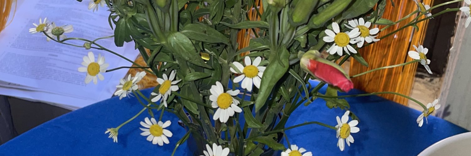kattedesco's profile banner image