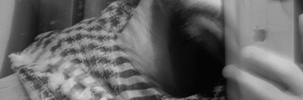 AliBinMahmoud's profile banner image