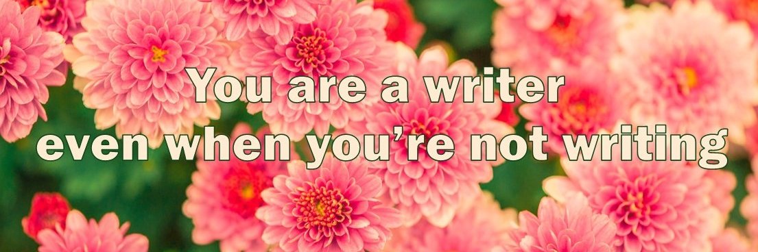 Susannah J. Bell 🌺 banner