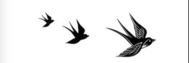 abbibulmerx's profile banner image