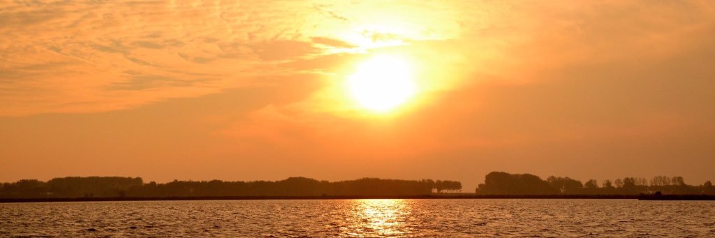 markheikens's profile banner image