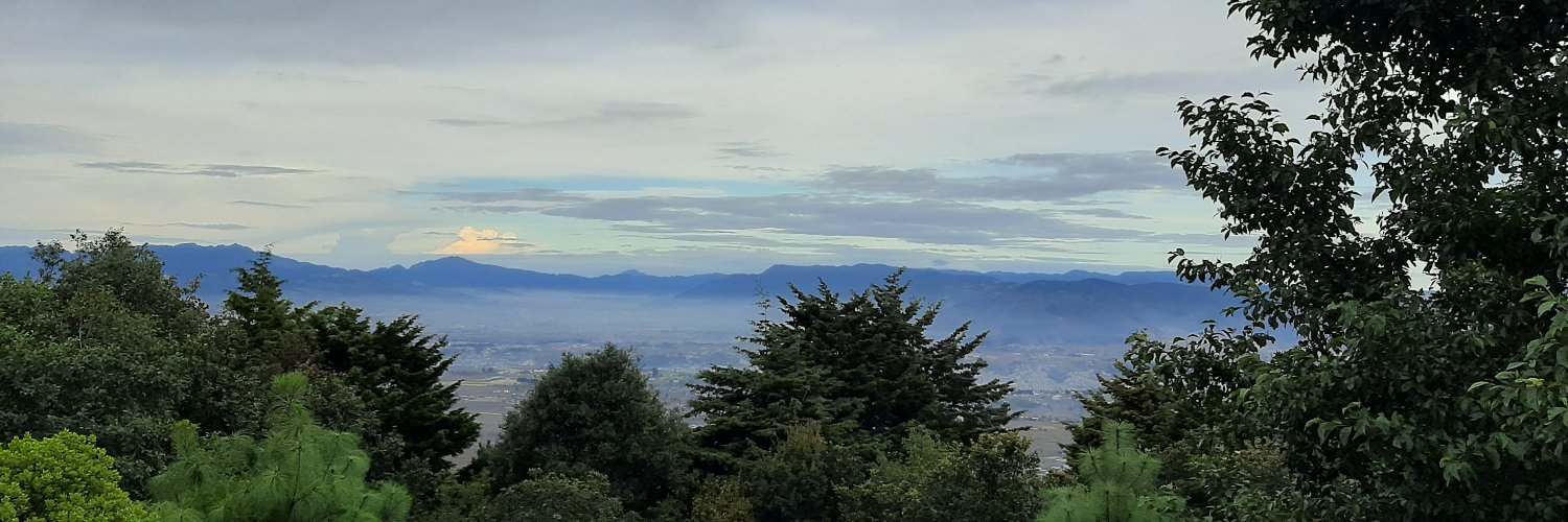 La Luciérnaga banner