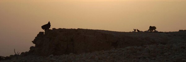 RatebRabi Profile Banner