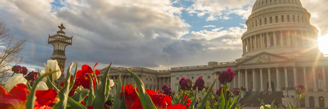 Charlotteblane's profile banner image