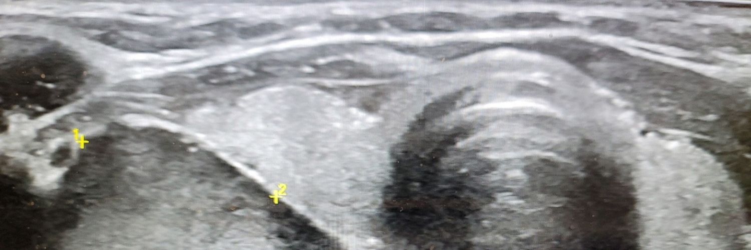 Merry Sebelik, MD, FACS, MAMSE banner