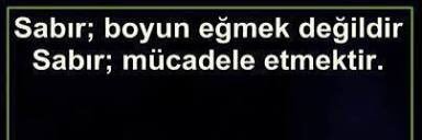 ertanisnowhere's profile banner image