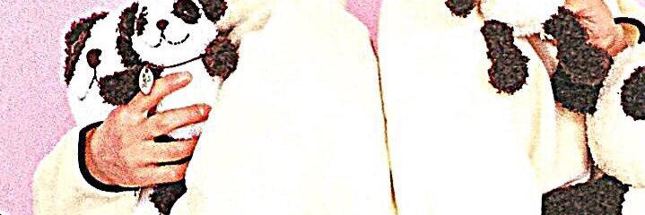__panpda__'s profile banner image