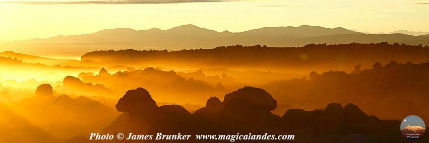 James Brunker's banner
