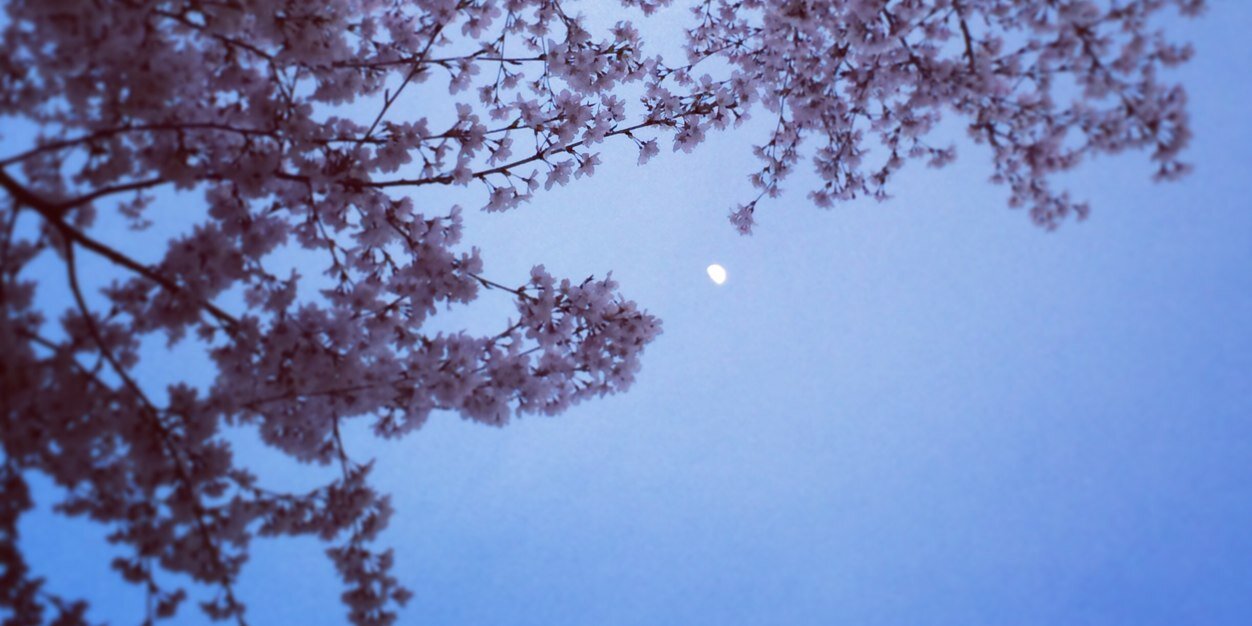 a_boogie's profile banner image