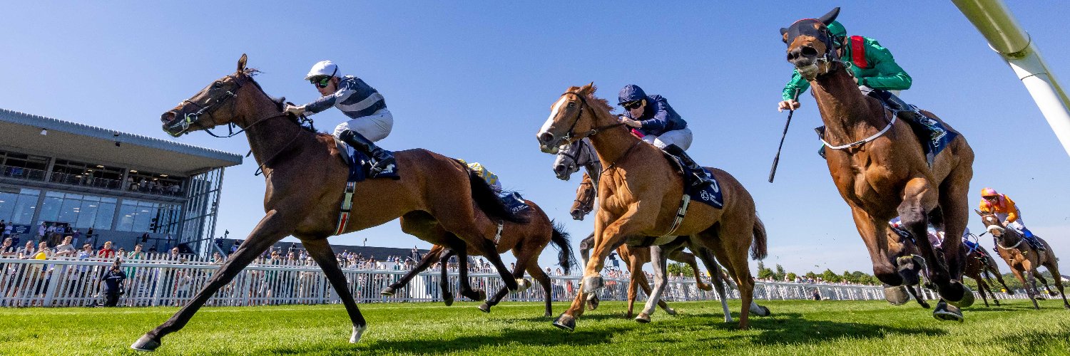 Naas Racecourse banner