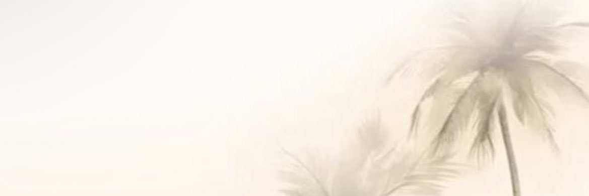 saraaalsaadii's profile banner image
