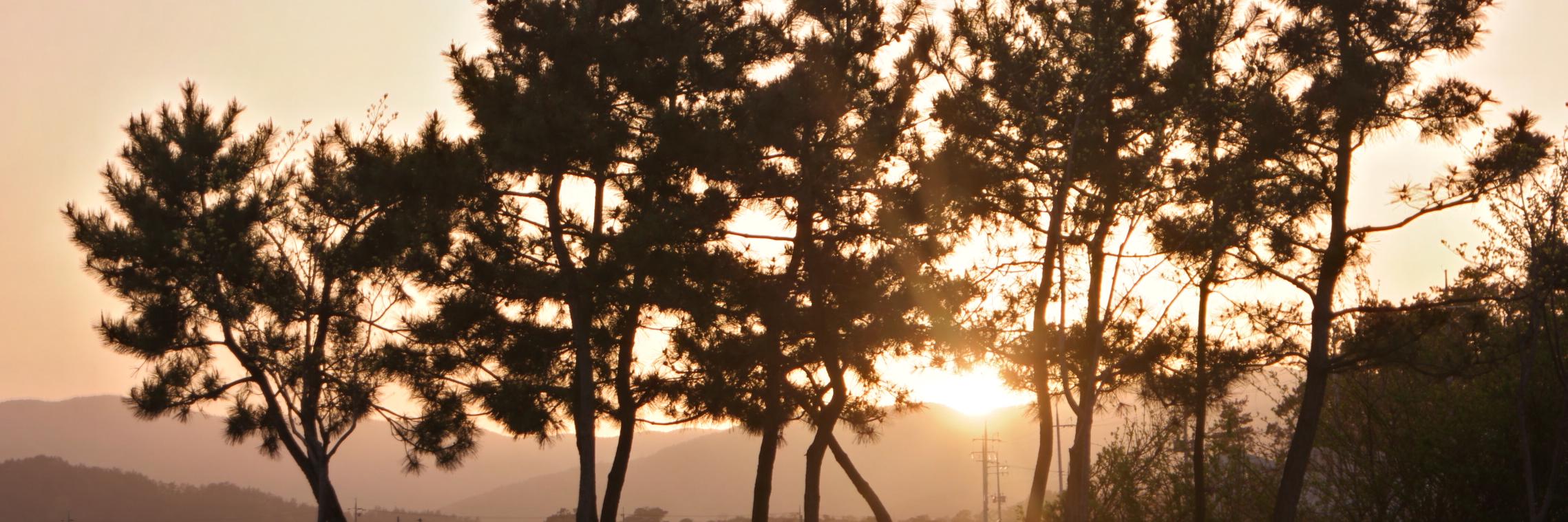 Ashy2906's profile banner image