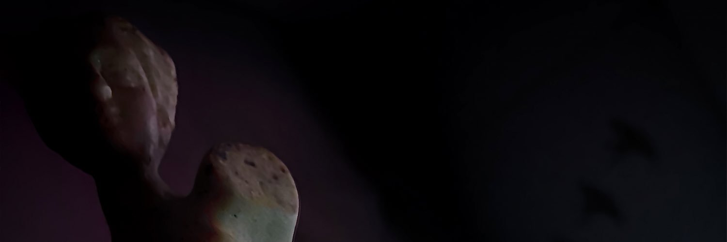 camselami's profile banner image