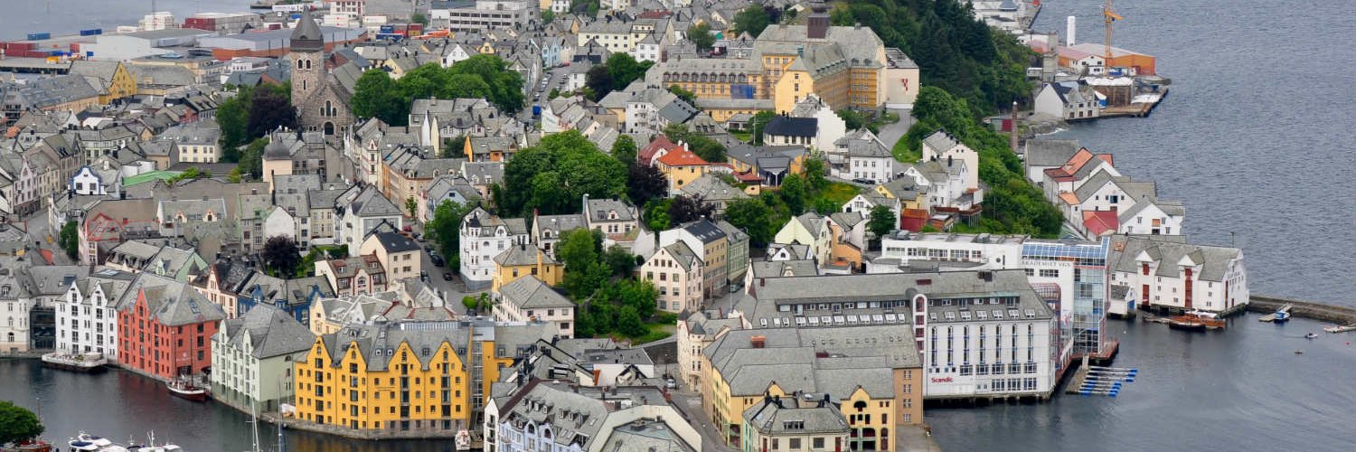 The Local Norway banner