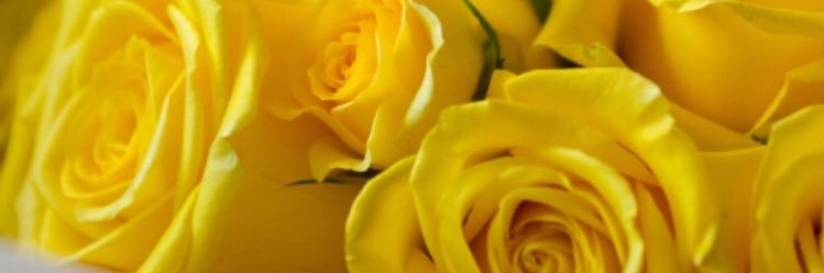 Jennifer Jackson 💛 banner