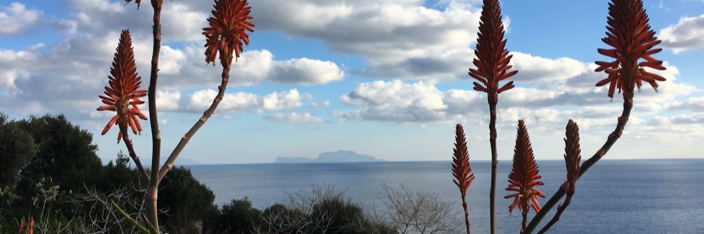 KarolGemy's profile banner image