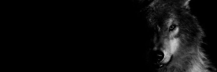LeagoM_7's profile banner image