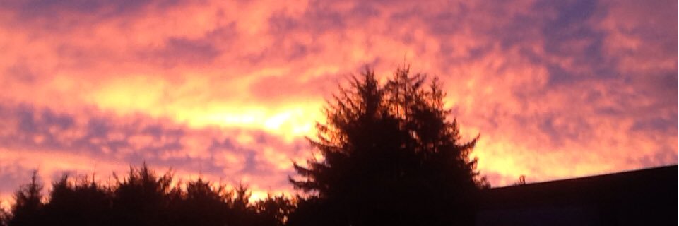 Daniel S banner