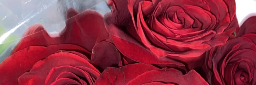 lashaee_____'s profile banner image