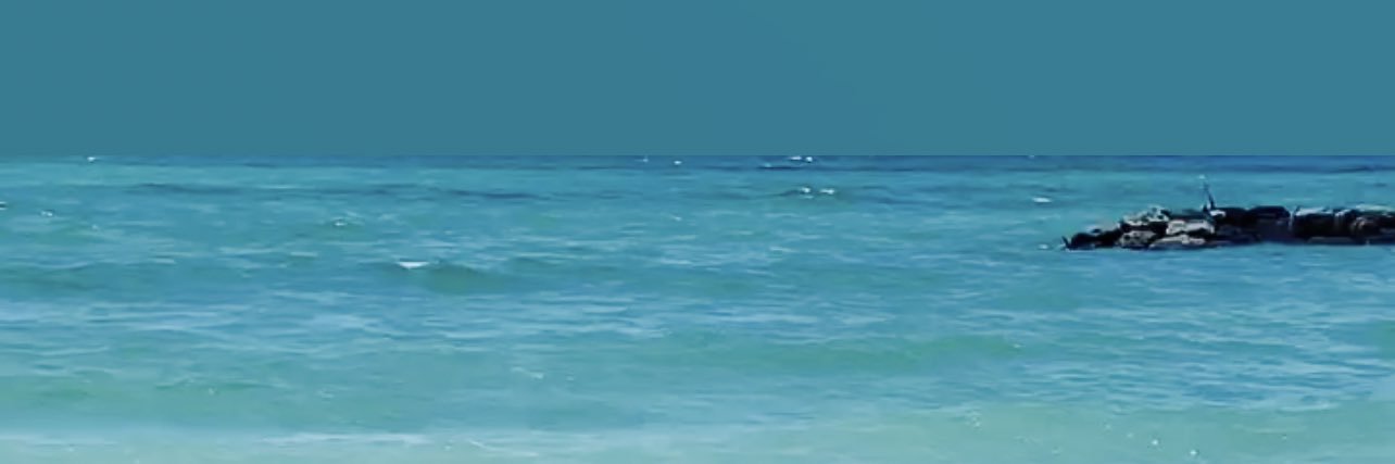 michael kalafut banner