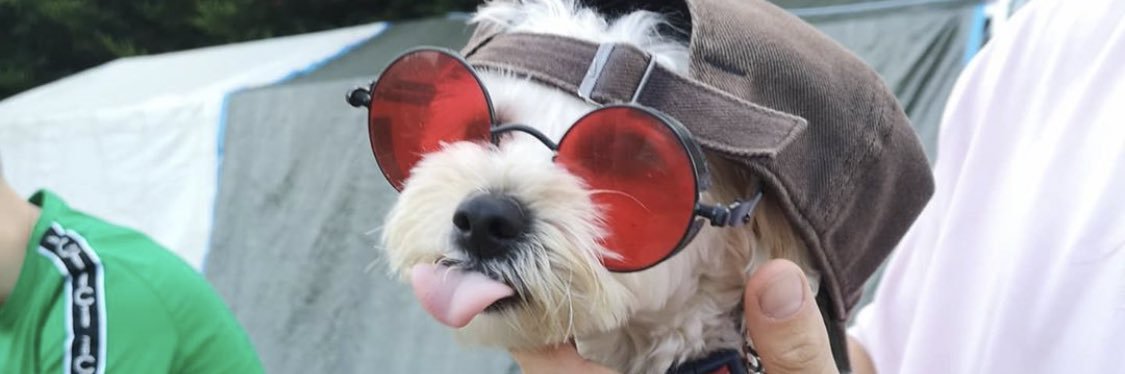 Poppy_howells's profile banner image