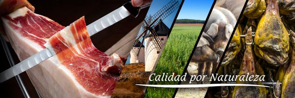 Incarlopsa Profile Banner
