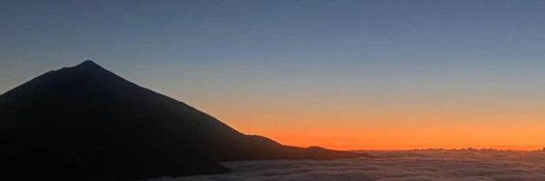 MariaTracey7 Profile Banner