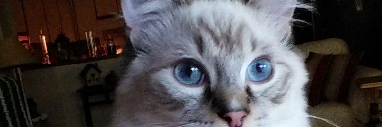 BobbiG58's profile banner image