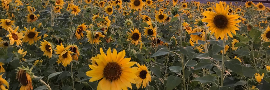 ebethanne21's profile banner image