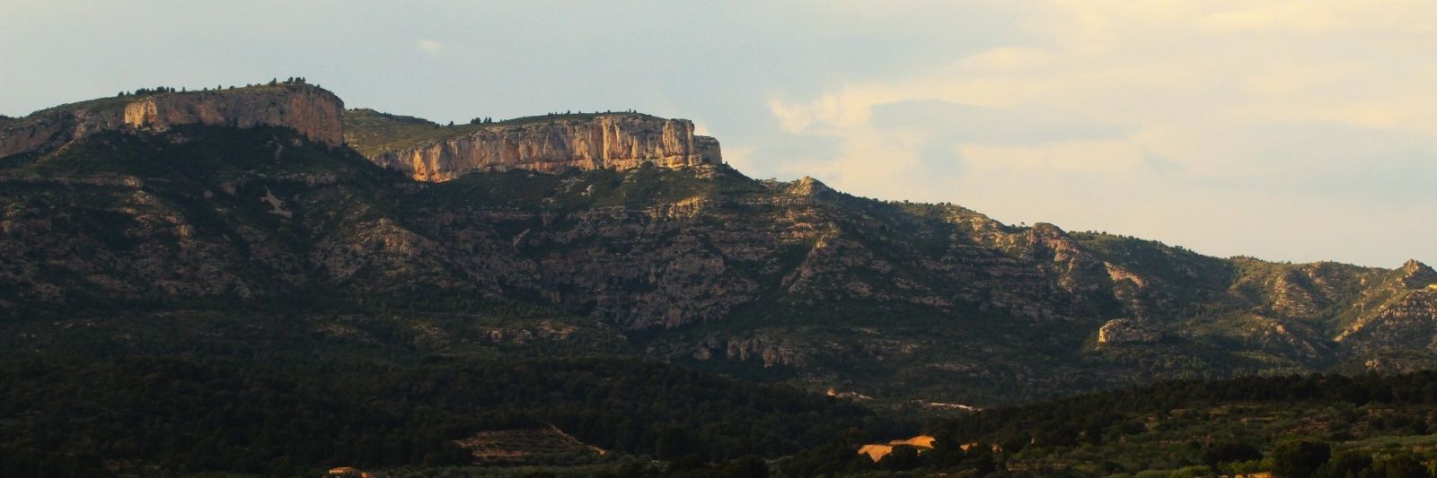 EvAmposta banner