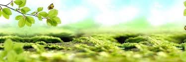 FranBentin's profile banner image