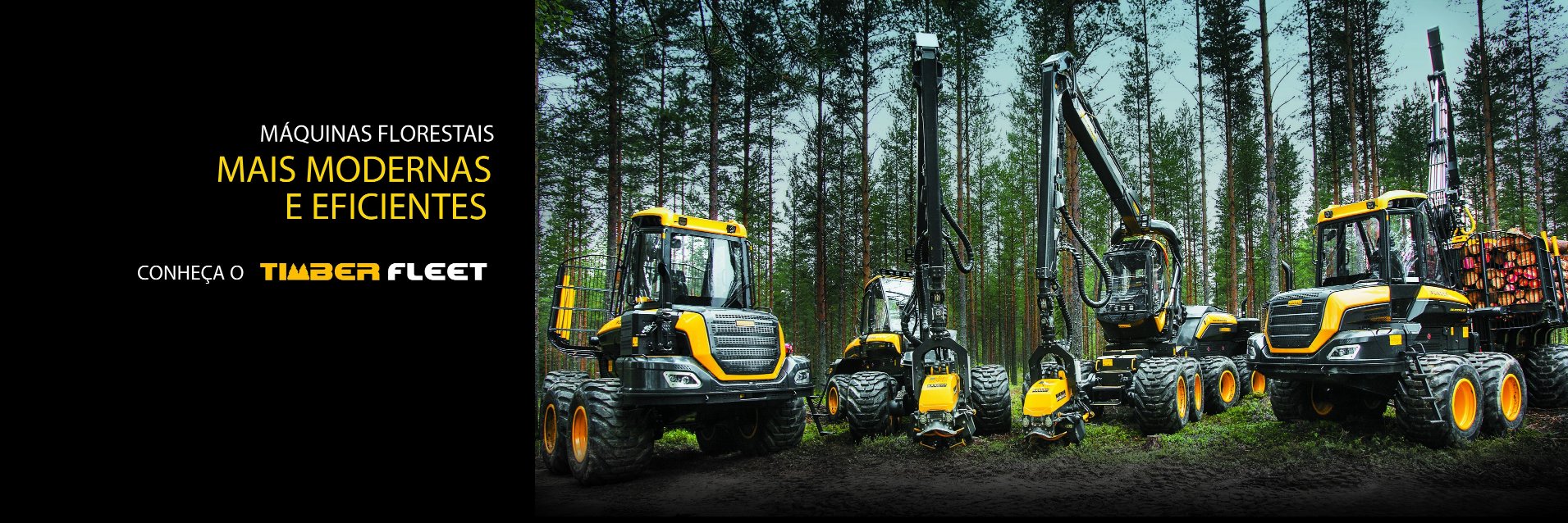 timber_eq's profile banner image