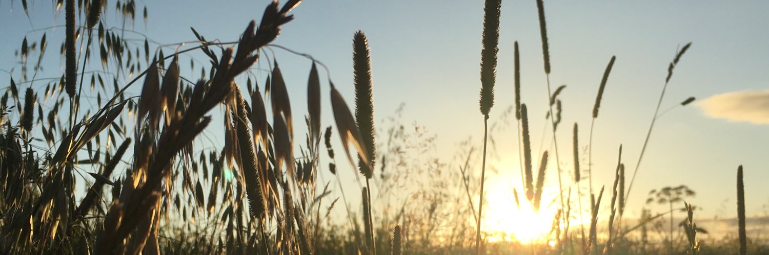 Mark O'Connell banner