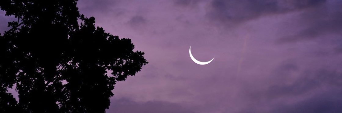 _xehla's profile banner image